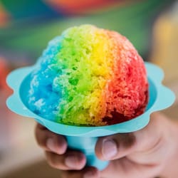 Paradise Cups
