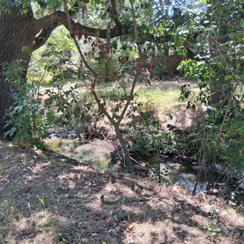 Markham Nature Park & Arboretum - Parks Near Me - Concord, California