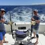 Photo of Topshape Kona Fishing