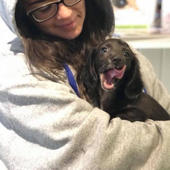 Clearview Pet Care Centre - Pet Boarding Near Me - Omaha, Nebraska