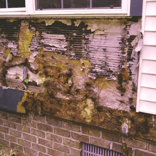 Slide of Lowcountry Roof Repairs