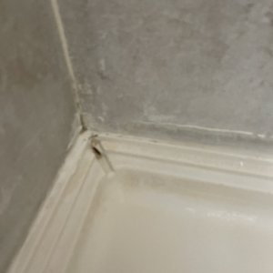 Cable Car Hotel on Yelp