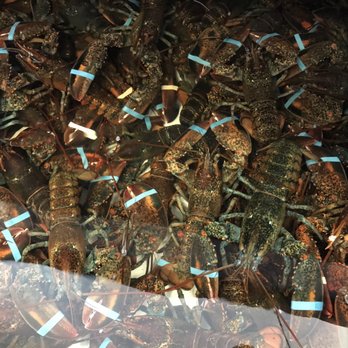 James Hook & Co - Live lobsters - Seafood Near Me - Boston, Massachusetts James Hook & Co - Live lobsters - Seafood Near Me - Boston, Massachusetts