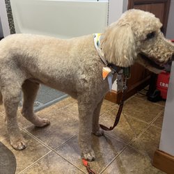 The Grooming Lab