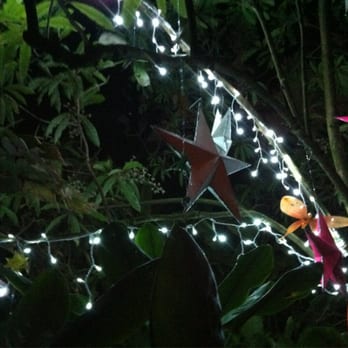 Foster Botanical Garden - Midsummer Night Gleam 2013 - Botanical Gardens Near Me - Honolulu, Hawaii Foster Botanical Garden - Midsummer Night Gleam 2013 - Botanical Gardens Near Me - Honolulu, Hawaii