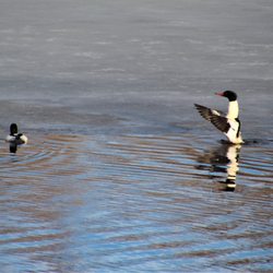 Fountain Creek Nature Center