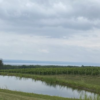 Red Tail Ridge Winery - Beautiful views - Wineries Near Me - Penn Yan, New York Red Tail Ridge Winery - Beautiful views - Wineries Near Me - Penn Yan, New York