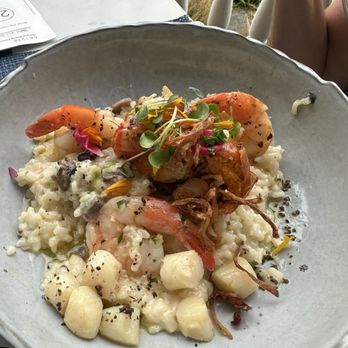 OCEAN2000 - Seafood risotto - New American Near Me - Fort Lauderdale, Florida