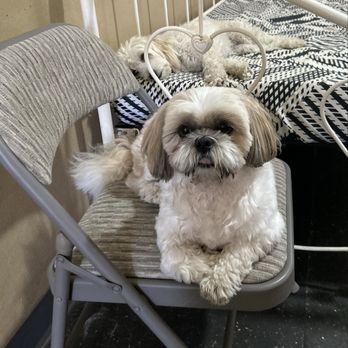 Cool Dog Ranch - Pet Boarding Near Me - Temecula, California