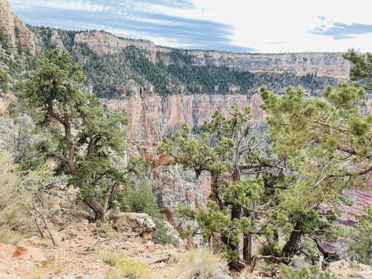 Ooh Aah Point by null