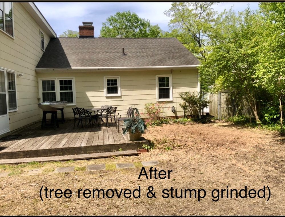 Highlands Tree Service - tree service in Greensboro, NC