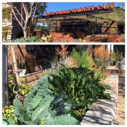 Niche Organic Gardens