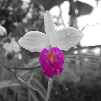Rejuvenation By Rhyna - Massage Therapy Near Me - Aurora, Colorado Rejuvenation By Rhyna - Massage Therapy Near Me - Aurora, Colorado