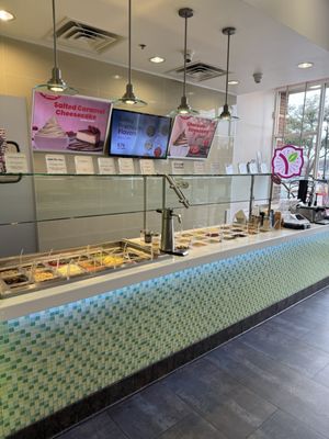 Yogurtland Dallas by null