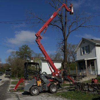Richey Tree Service - Tree Services Near Me - Hamilton, Ohio Richey Tree Service - Tree Services Near Me - Hamilton, Ohio