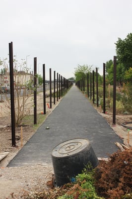 Parc aux Angéliques by null