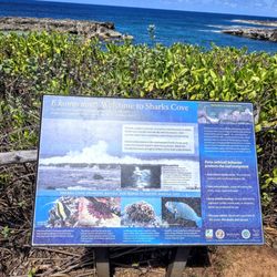 Shark's Cove - At Sharks Cove