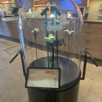 Medithrive’s - Cannabis Clinics Near Me - San Francisco, California