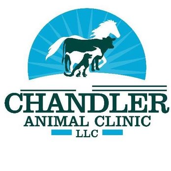 Chandler Animal Clinic - Veterinarians Near Me - Chandler, Oklahoma Chandler Animal Clinic - Veterinarians Near Me - Chandler, Oklahoma