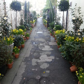 Clifton Nurseries - Super entrance - Landscaping Near Me - London, XGL