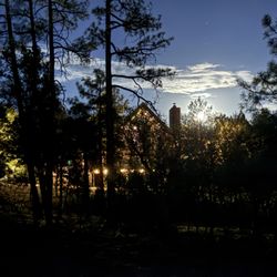 Desert Outdoor Lighting