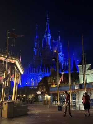 Cinderella Castle by null