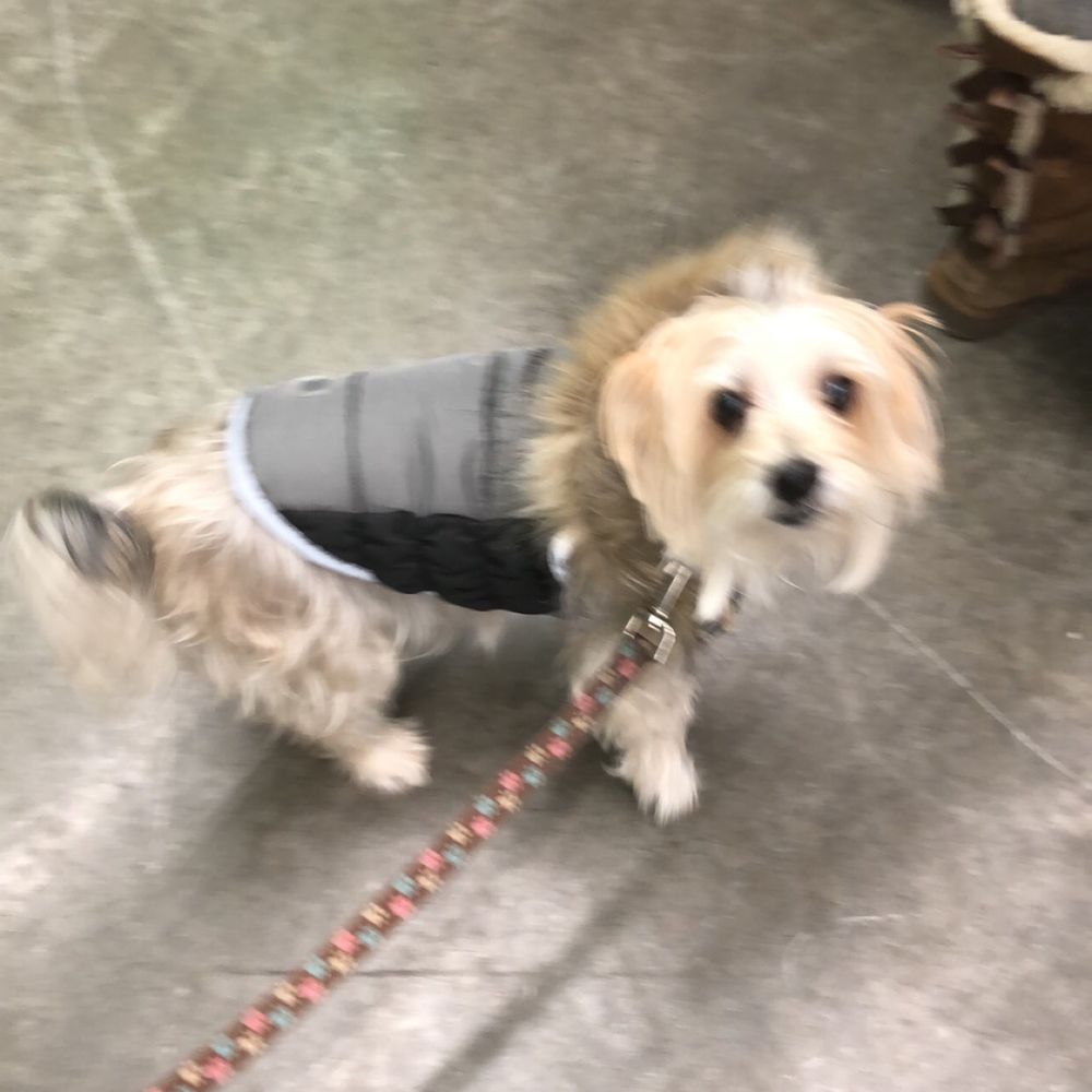 New jacket