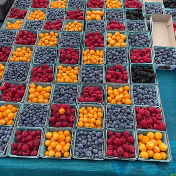 The Collection Farmers Market - blueberries, raspberries, and oranges - Farmers Market Near Me - Oxnard, California The Collection Farmers Market - blueberries, raspberries, and oranges - Farmers Market Near Me - Oxnard, California
