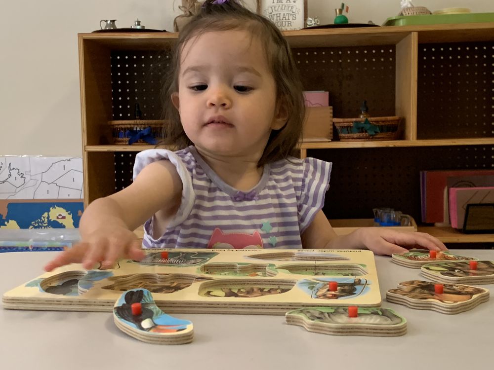 Children House & Day Care - childcare center in Silver Spring, MD