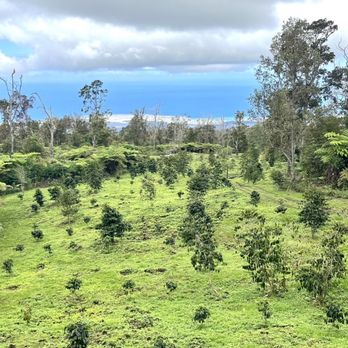 Mountain Thunder Coffee Plantation - View - Coffee & Tea Near Me - Kailua-Kona, Hawaii