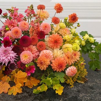 Sungrove Blossoms - Florists Near Me - Rochester, New York