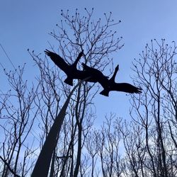 Longfellow Nature Trail
