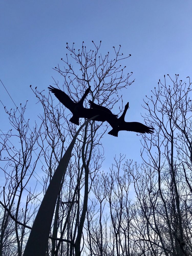 Longfellow Nature Trail Image