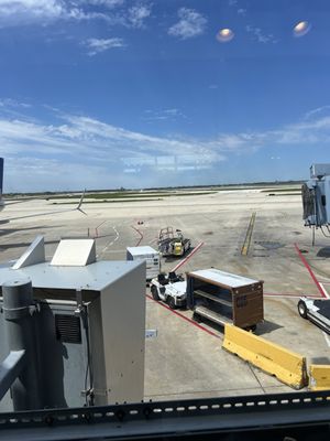 Berghoff Cafe by null