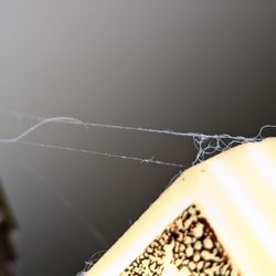 Naomi's Cleaning - Cobwebs on light fixture