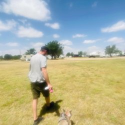 Aok Camper Park - Gigantic open field. Great for walking our dogs. In the field are 3 tiny donkeys, an emu, longhorn cattle, and llamas.