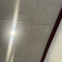 Ceiling is gross