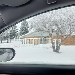 Garden Gate - Helping customer in bad weather
