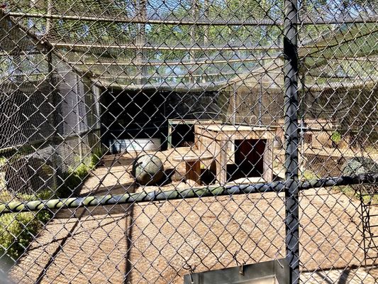 The Catty Shack Ranch Wildlife Sanctuary by null
