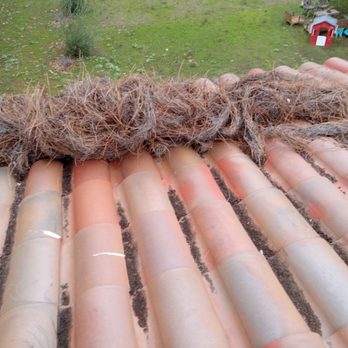 Ramiro's Tree Service - Landscaping Near Me Ramiro's Tree Service - Landscaping Near Me