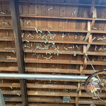The Owl Saloon - Dollars on the ceiling - Bars Near Me - Denver, Colorado