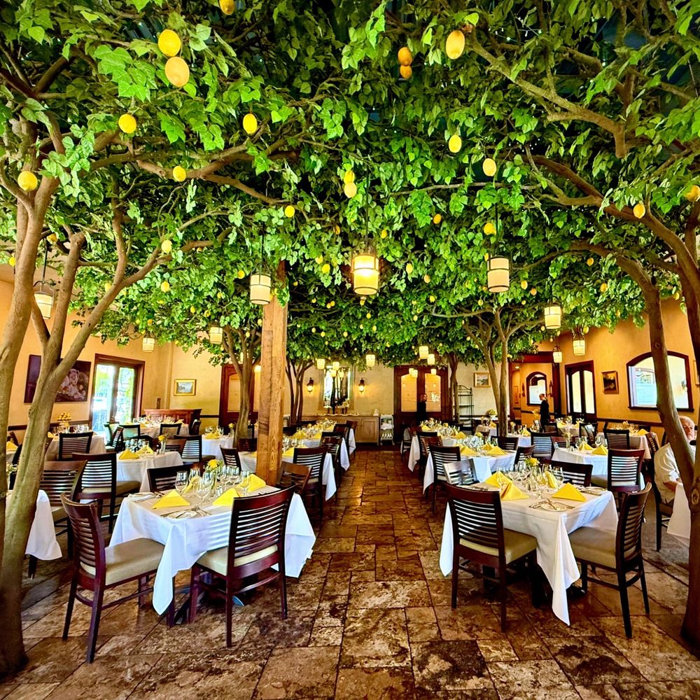 La Jolla Groves - Love the lemon tree theme! - New American Near Me - Provo, Utah