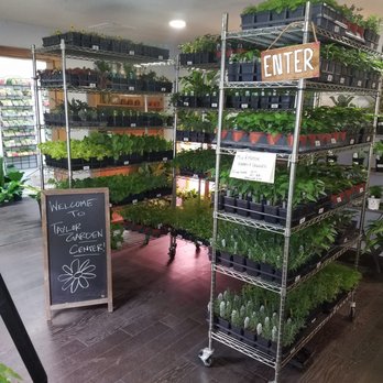 Taylor Garden Center - Nurseries & Gardening Near Me - Taylor, Texas Taylor Garden Center - Nurseries & Gardening Near Me - Taylor, Texas