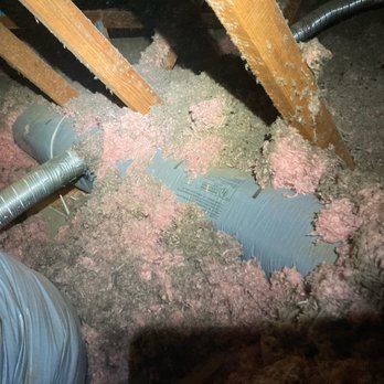 Attic Cleaning Services - Before - Insulation Installation Near Me Attic Cleaning Services - Before - Insulation Installation Near Me