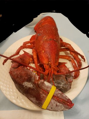 Gus & Co. Seafood Market by null