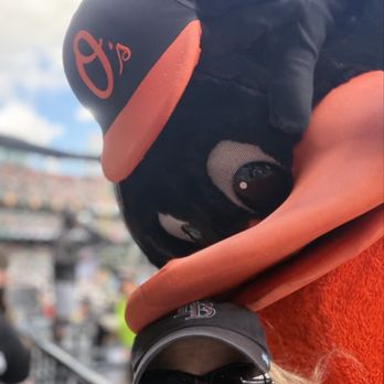 Oriole Park At Camden Yards - lol - Stadiums & Arenas Near Me - Baltimore, Maryland Oriole Park At Camden Yards - lol - Stadiums & Arenas Near Me - Baltimore, Maryland