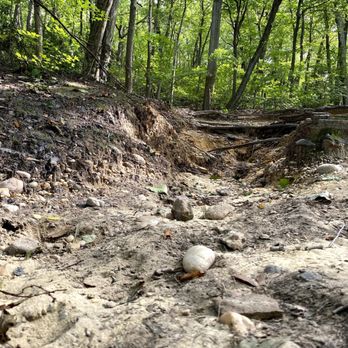 COLD SPRING HARBOR STATE PARK - Updated January 2026 - 263 Photos & 68 ...