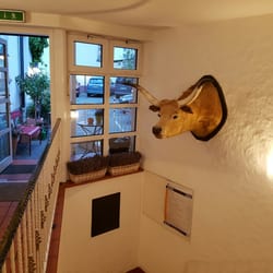 Zum Goldenen Ochsen - Ein halber Ochse im Treppenhaus :)