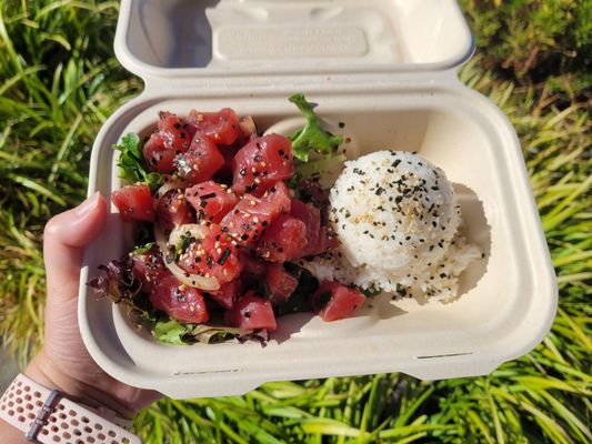 Da Poke Man by null