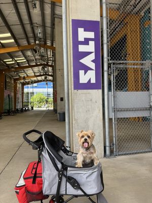 SALT At Our Kaka'ako by null